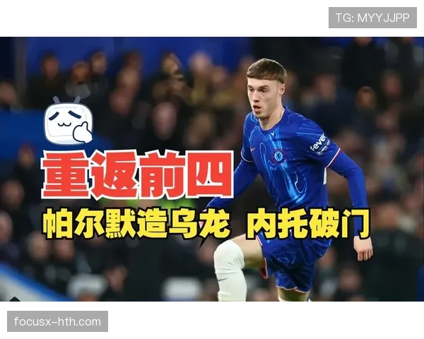 帕尔默的战术角色与体系依赖性解析